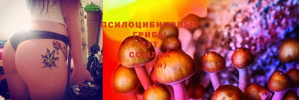 гашиш Белокуриха